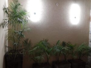 House 960, Sector E, Bahria Town Phase 8